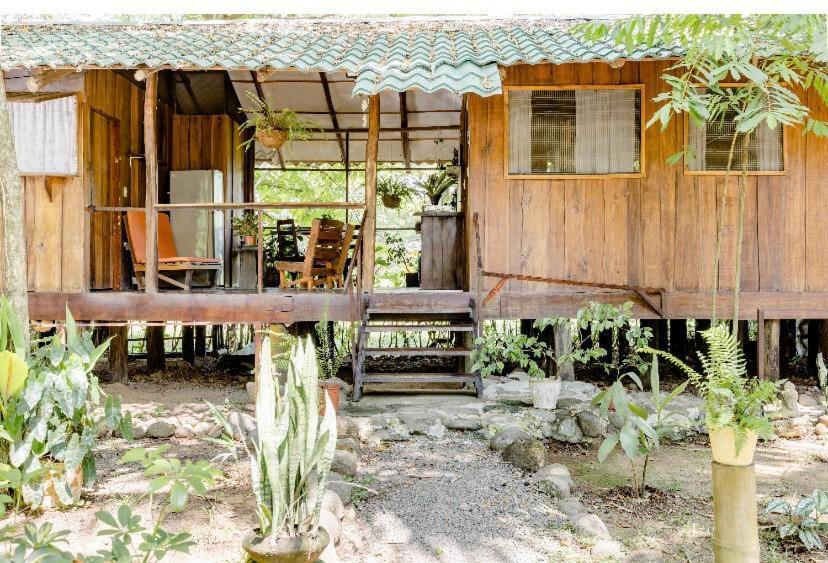 Luminosa Uvita Hostel Eksteriør bilde