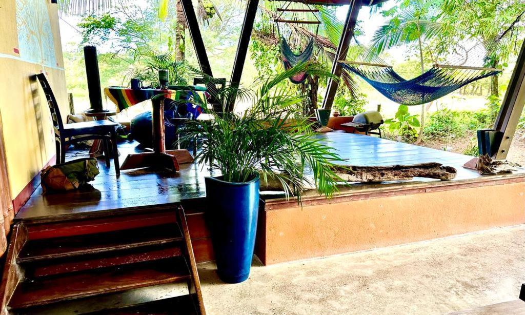Luminosa Uvita Hostel Eksteriør bilde